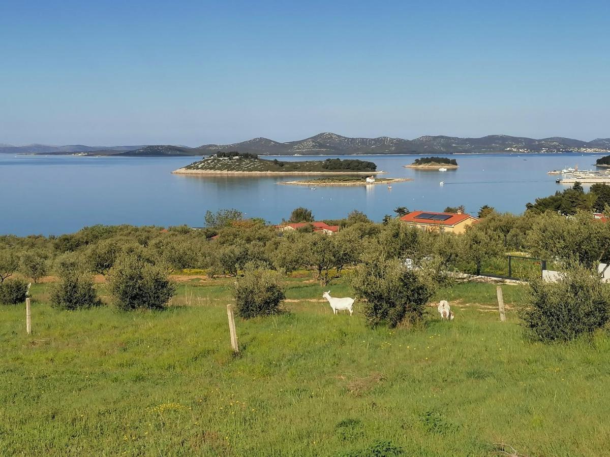 Apartman 2 Punta Pakoštane Exteriör bild